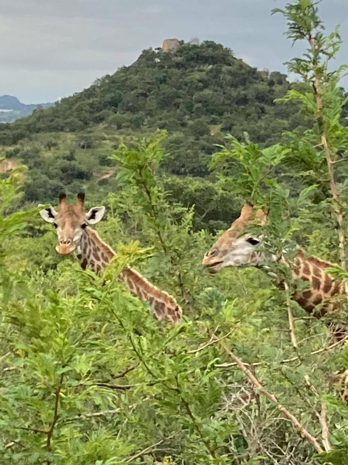 Ndhula Luxury Tented Lodge 白河 外观 照片